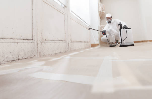 24/7 Emergency Mold Testing experts in Spring City, PA